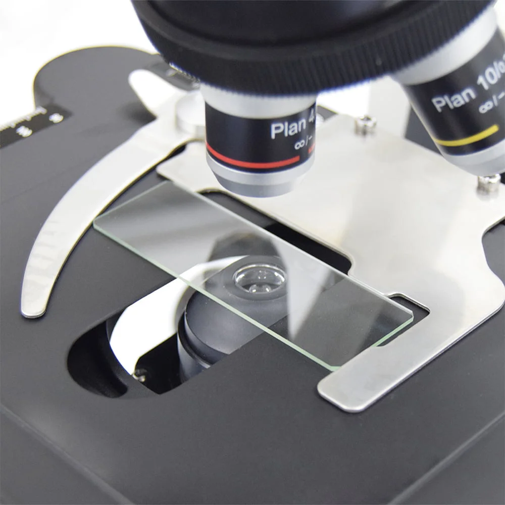 Portaobjetos para microscopio